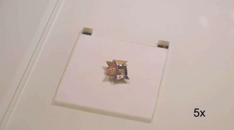 Self-folding robot walks, swims, climbs, dissolves