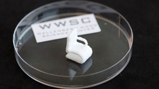 3D-printed objects created entirely from wood cellulose