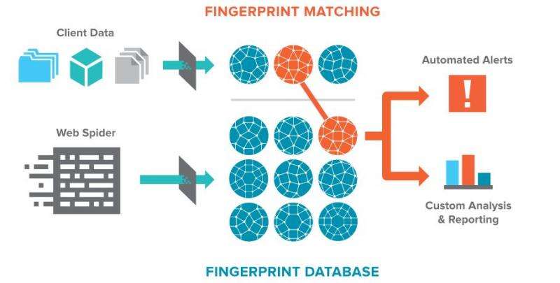 Stolen data finder could reduce harm for companies