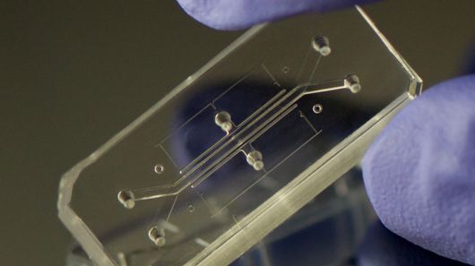 Human Organs-on-Chips wins Design of the Year 2015