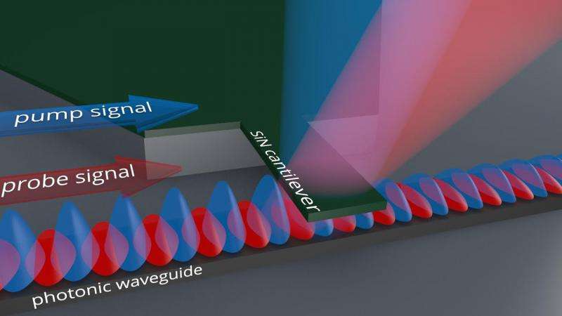 Physicists develop ultrasensitive nanomechanical biosensor
