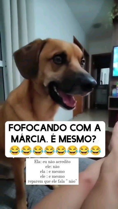 An Expat Guide To The Worth Of Residing In Portugal